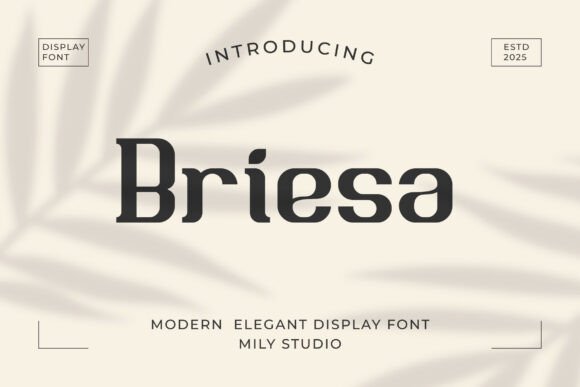 Briesa: A Clean and Approachable Display Font for Web Design